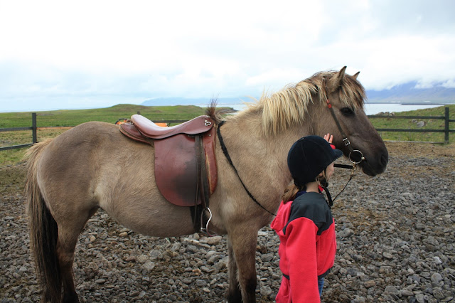 Riding Icelandic horses