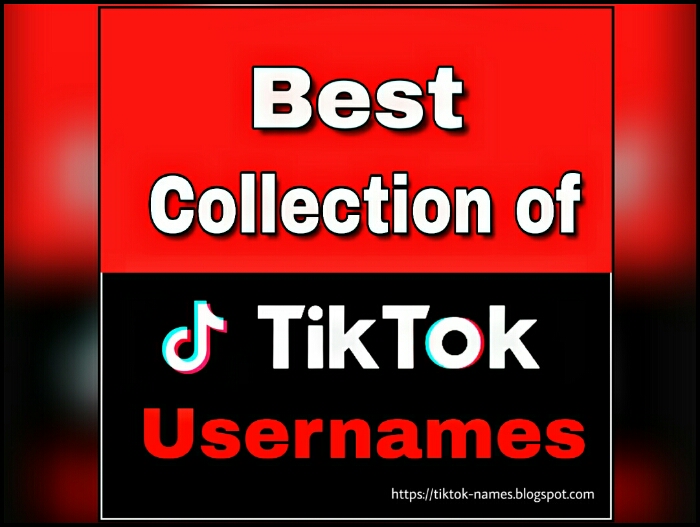 Tiktok Names 800 Best Tiktok Username Ideas Tiktok Names Tiktok