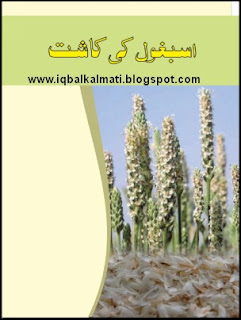 Isapghol Ki Kasht (Cultivation) Booklet PDF Download Ispaghol Ki Kasht (Cultivation) Booklet PDF Download