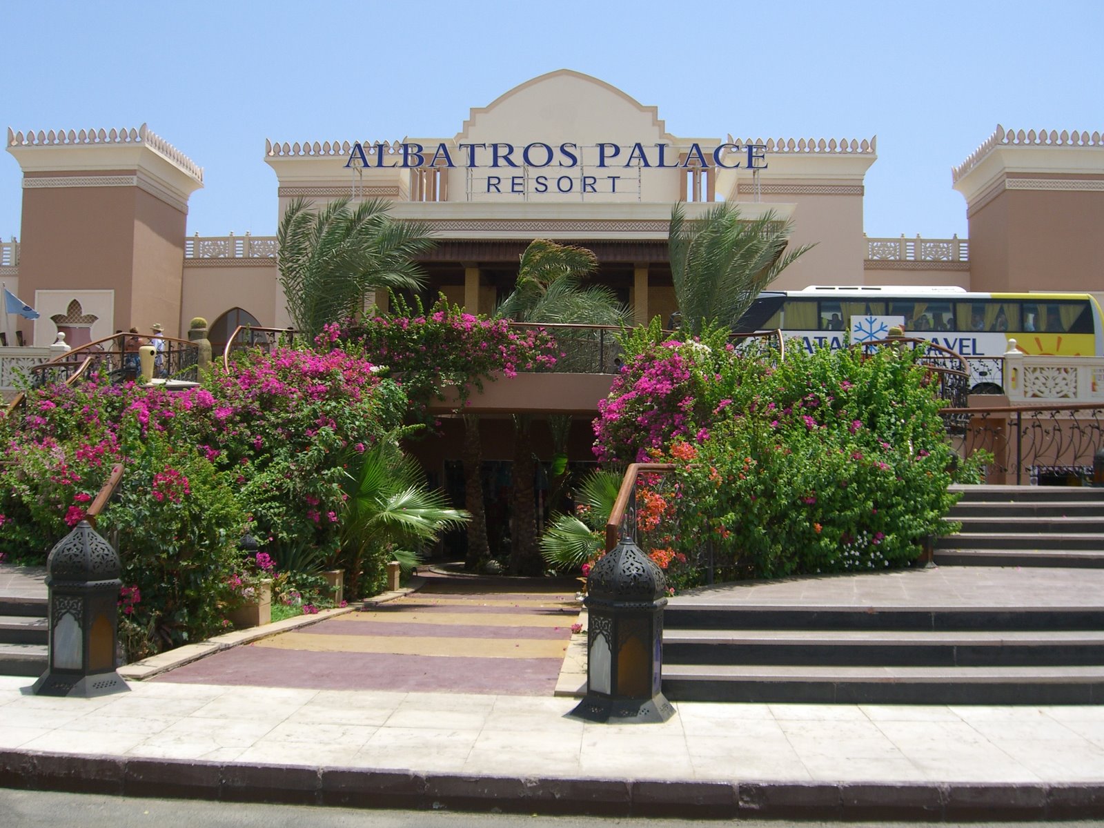 Отель альбатрос отзывы и фото