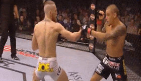 ufc178-2.gif