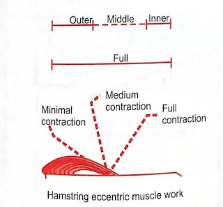 Range of Muscle work in Physiotherapy
