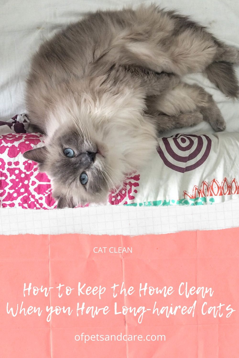 Having cats at home is relaxing and fun...but, it can also be tiresome. That is when you have long-haired cats shedding their fur all day long. As a pet owner and homemaker, one has to see to it that the cats are happy and the home is well-maintained.