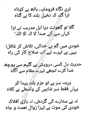 Allama Iqbal Poetry