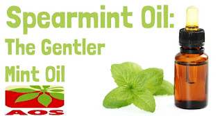 Spearmint Oil Manufacturer India