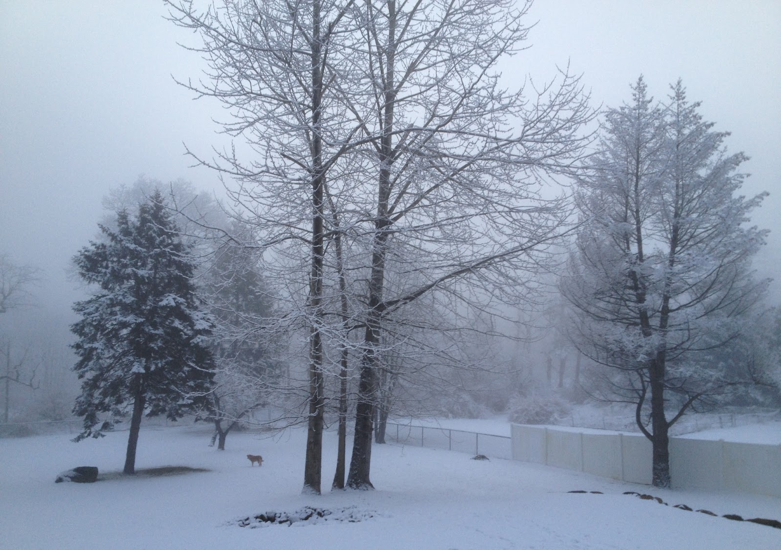 Paramus High School Craft Fair