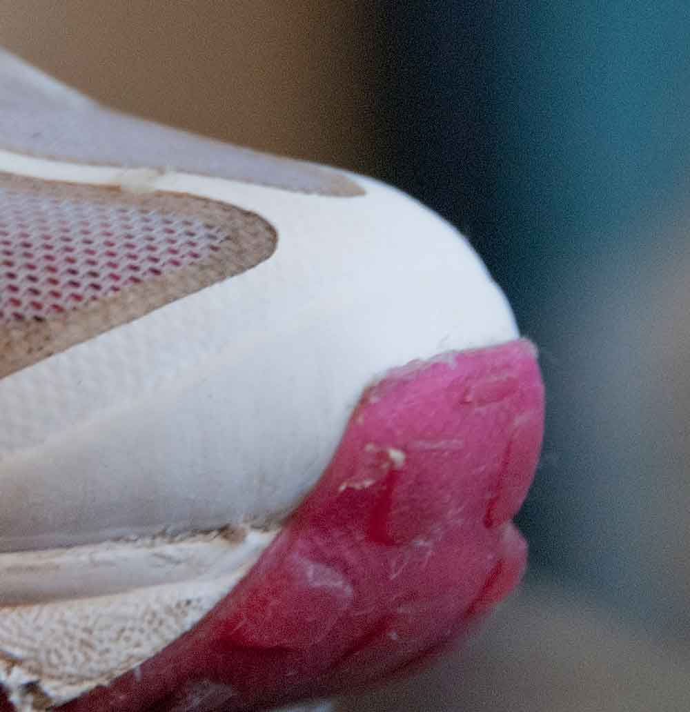 The Women Survival  Book How to clean white rubber on the sneakers.