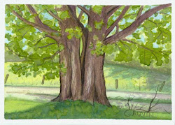 watercolor painting landscape maple tree kirby paintings vermont children inspiration season oil illustrations watercolors idea give credit piece wife finally