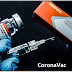Vacina CoronaVac possui eficácia clínica de 78% contra casos leves e de ~100% contra casos graves da COVID-19