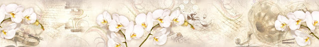  Скинали белые орхидеи