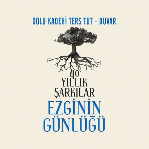 Dolu Kadehi Ters Tut Duvar (2020) Full Albüm İndir EN YENİ MP3�LER