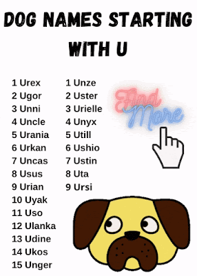 Dog Names Starting with U