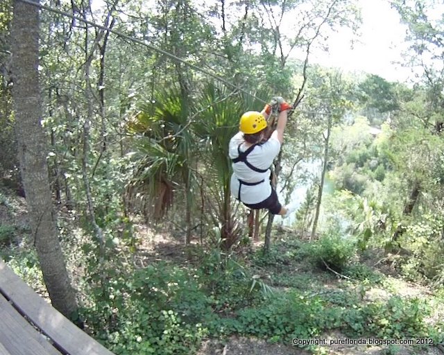 Pure Florida Best Zipline In Florida The Canyons Zipline