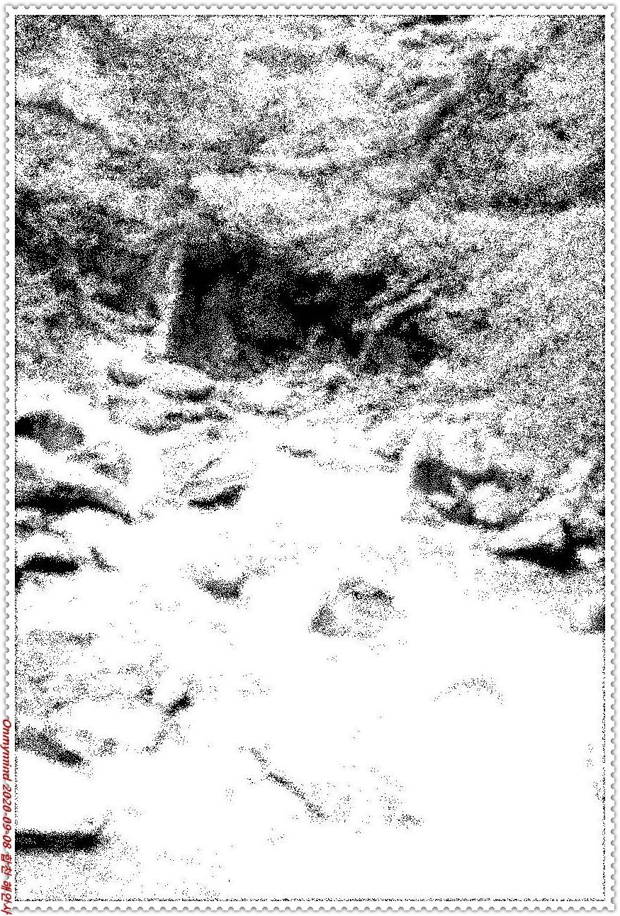 합천 해인사 합천 해인사