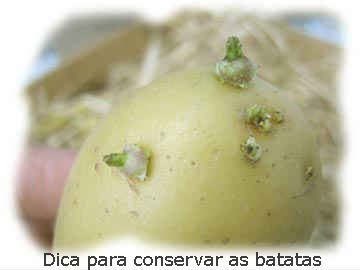dica-cuidados-conservar-batatas