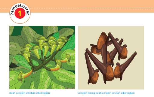 Materi Dan Kunci Jawaban Tematik Kelas 5 Tema 7 Subtema 1 Halaman 2 6 7 8 9 10 13 14 15 16 - Gawe Kami