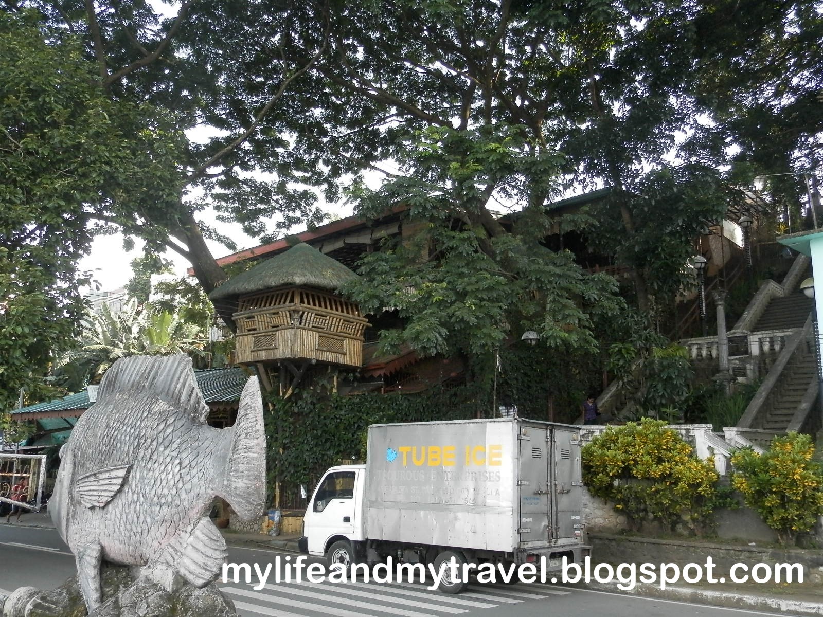 My Life and My Travel Sampaloc Lake of San Pablo City