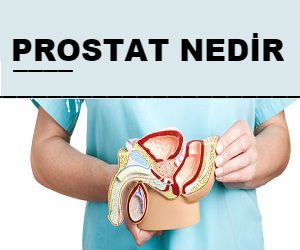 prostat nedir belirtileri nelerdir