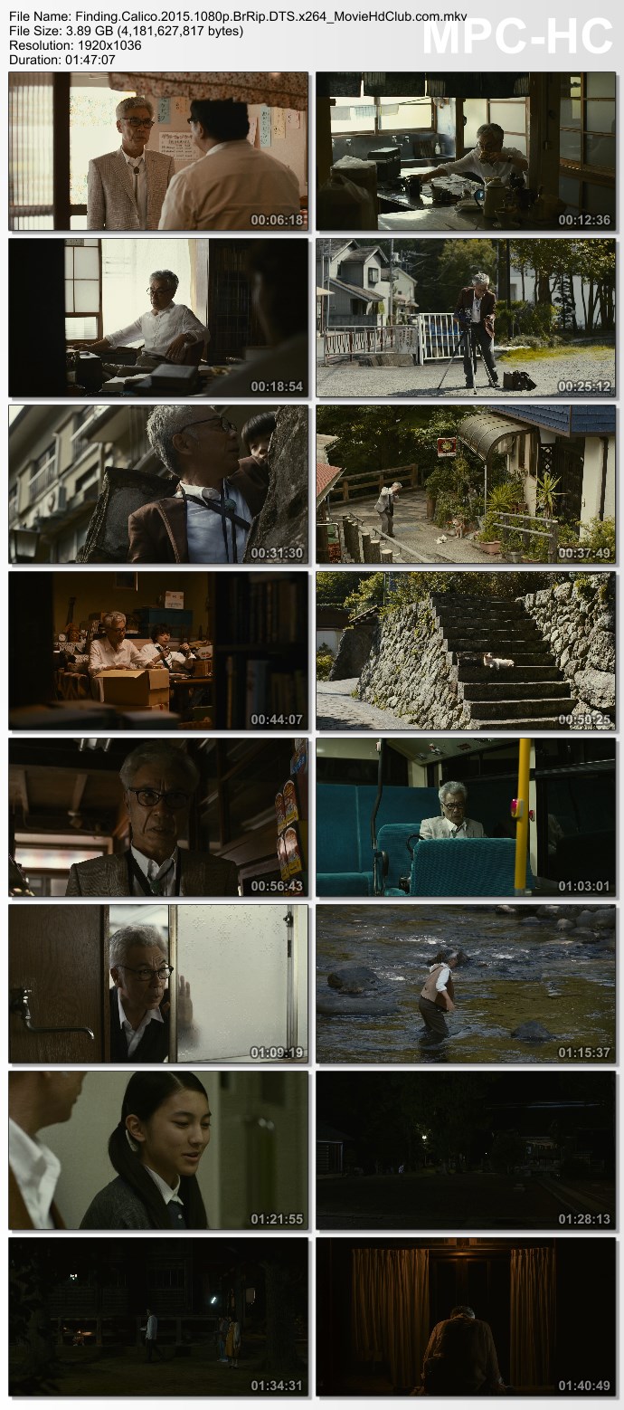 [Mini-HD] Finding Calico (2015) - กลับบ้านเถอะนะ...เจ้าเหมียว [1080p][เสียง:ไทย 5.1/Jap DTS][ซับ:ไทย][.MKV][3.89GB] FC_MovieHdClub_SS