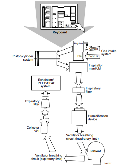Biomedical Engineering: Ventilator a Biomedical Point Of View