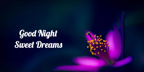 good-night-sweet-dreams-pink-flower.png