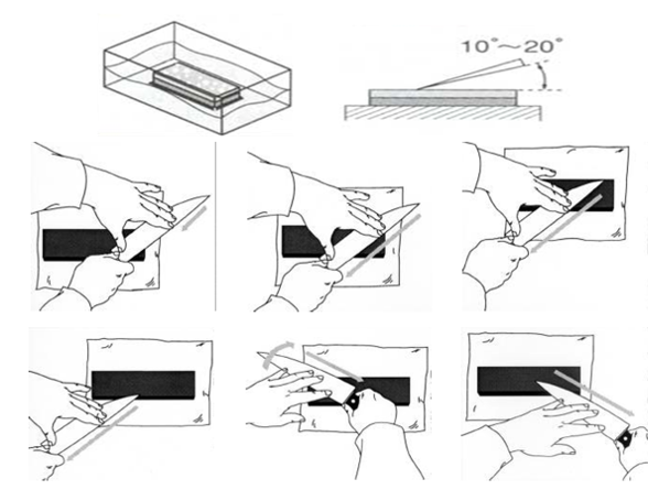 CHEF Q: Knife Knowledge
