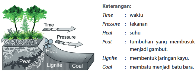 Teori Terbentuknya Batu Bara dan Pemanfaatannya