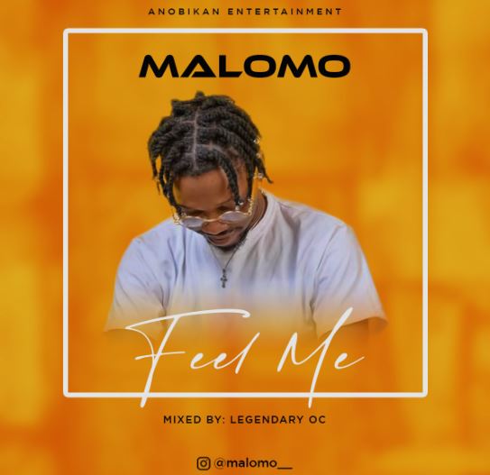 [Music] Malomo - Feel Me