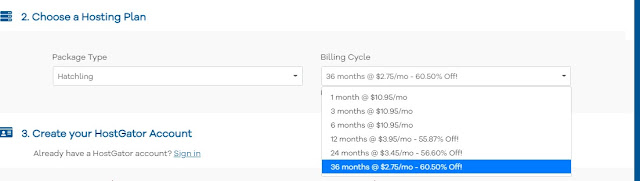 1 month, 6 months, 12 months, 24 months, and 36 months plans to buy a web hosting in HostGator