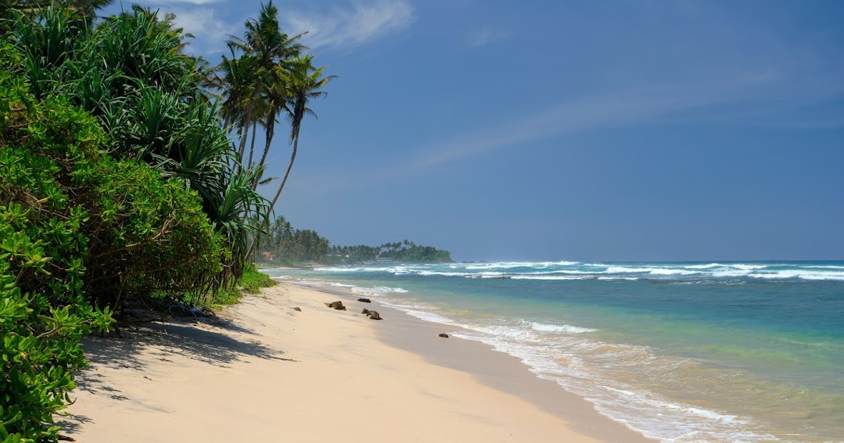 Веб камеры шри ланка. Велигама Шри Ланка. Велигама Бич. Коггала Шри Ланка. Ахангама пляж Шри Ланка.