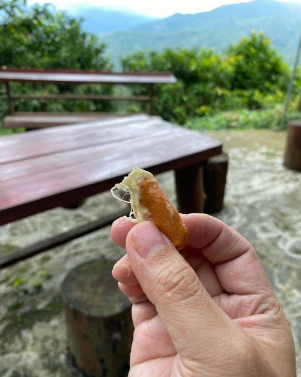 BIBIT DURIAN CHANEE KAKI 3 SUPER Bukittinggi