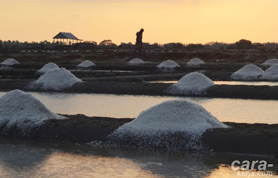 ladang garam dapur tepi pantai