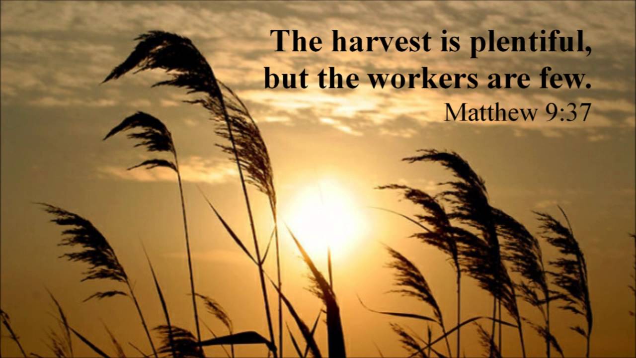 The Casting Floor Bringing in the Sheaves