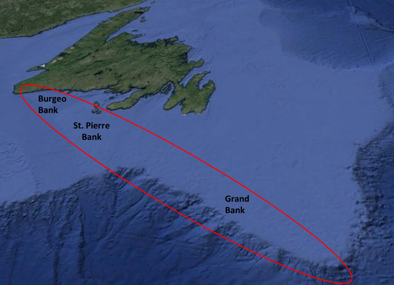 sampling area for the ce16013 survey which started in argentia on april 26 the vessel will sample waters of the burgeo st pierre and southern grand sampling area for the ce16013 survey which started in argentia on april 26 the vessel will sample waters of the burgeo st pierre and southern grand