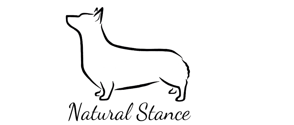 Natural Stance