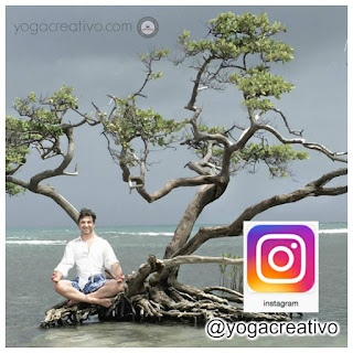 meditacion, meditation, yoga nidra, yoga, aeroyoga, air yoga, yoga aereo, yoga aerea, cursos, clases, escuelas, talleres, seminarios, medicina, gravity, coahcing, anti, age