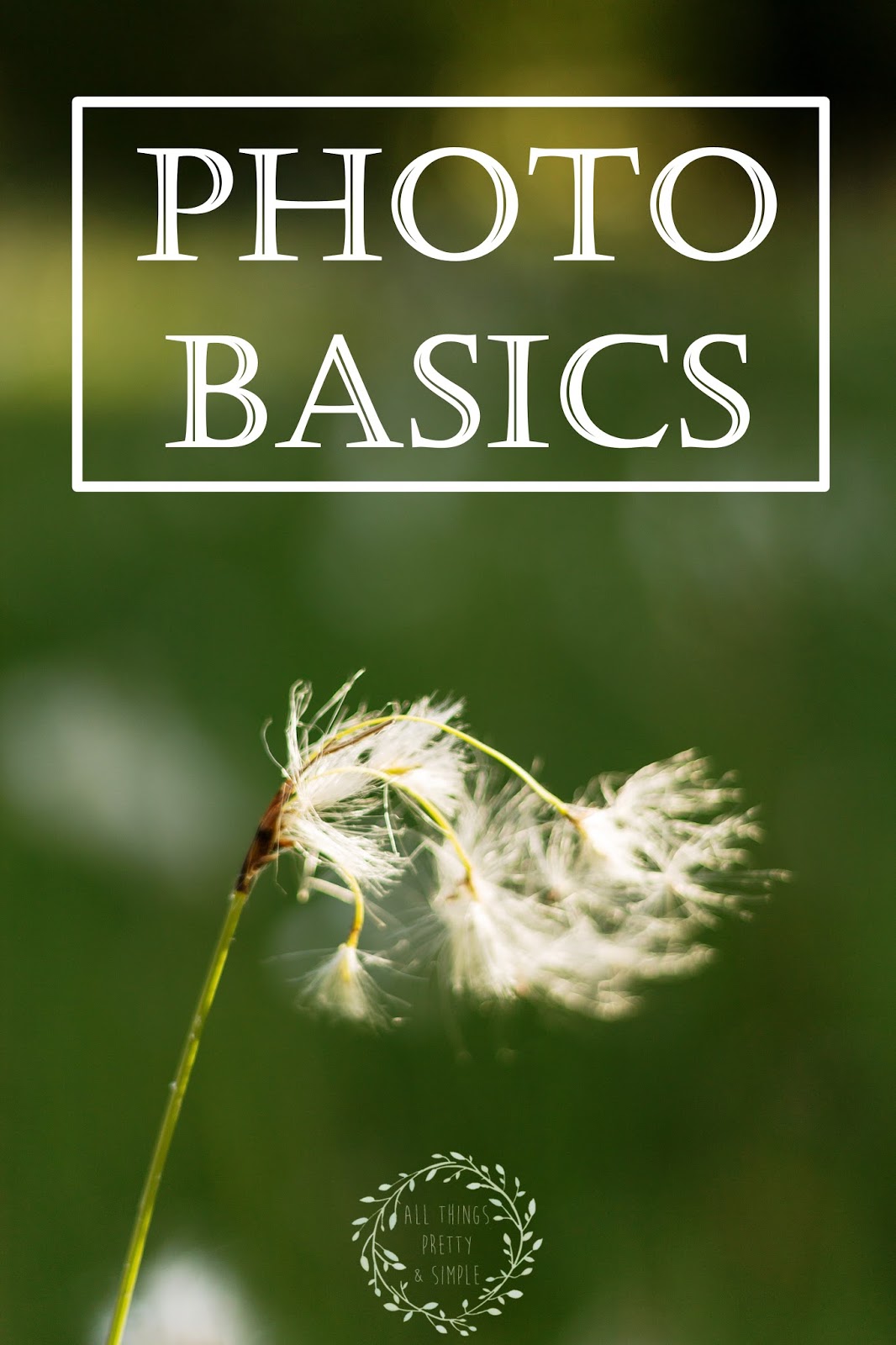 Yt Photo Basic Photo basics