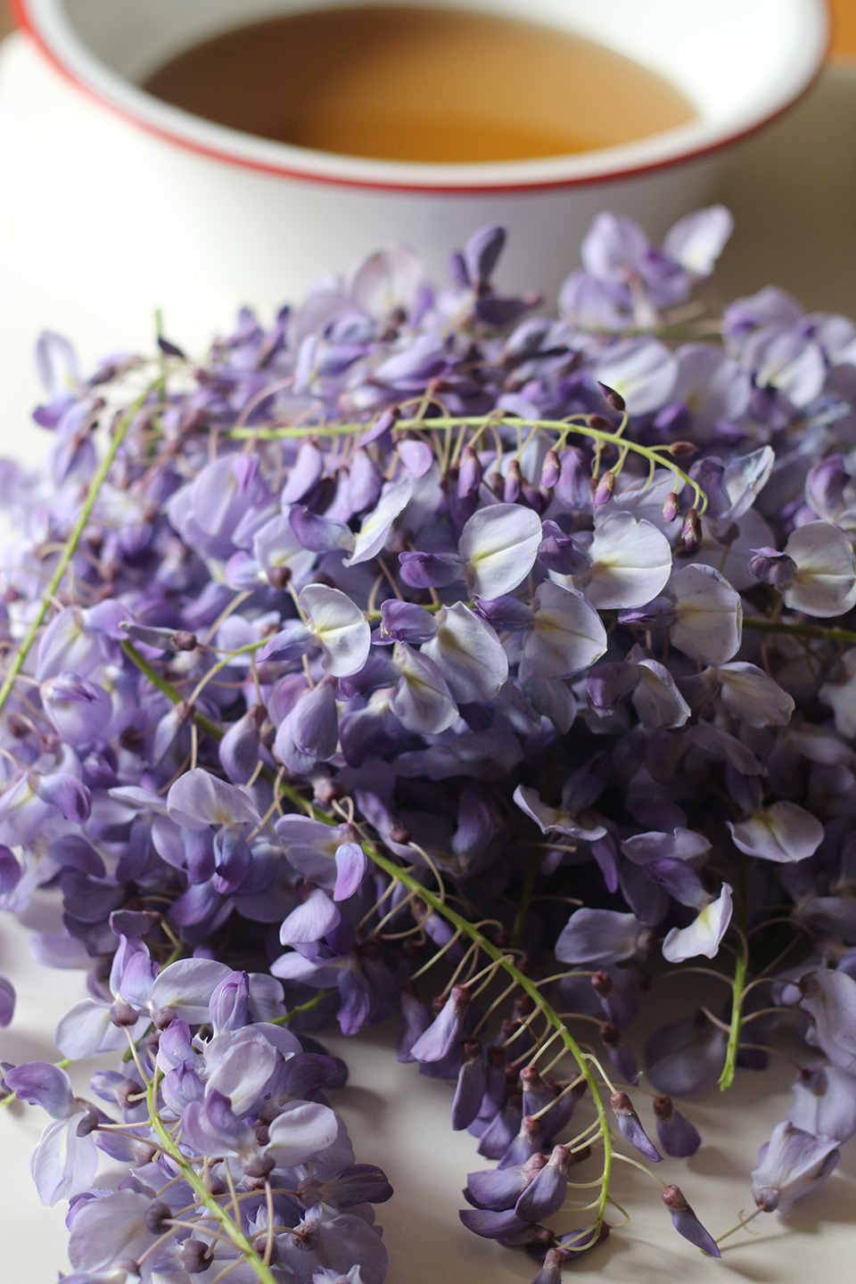 66 Square Feet (Plus) Eating wisteria flowers an ephemeral treat
