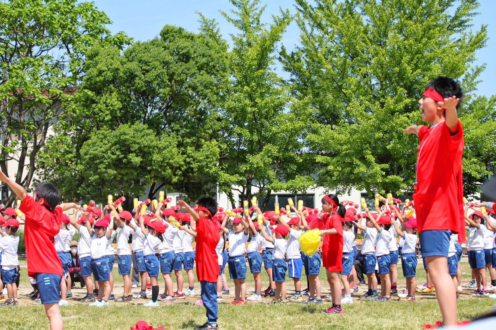新潟県新発田市立二葉小学校 おやじの日記 5月 2015