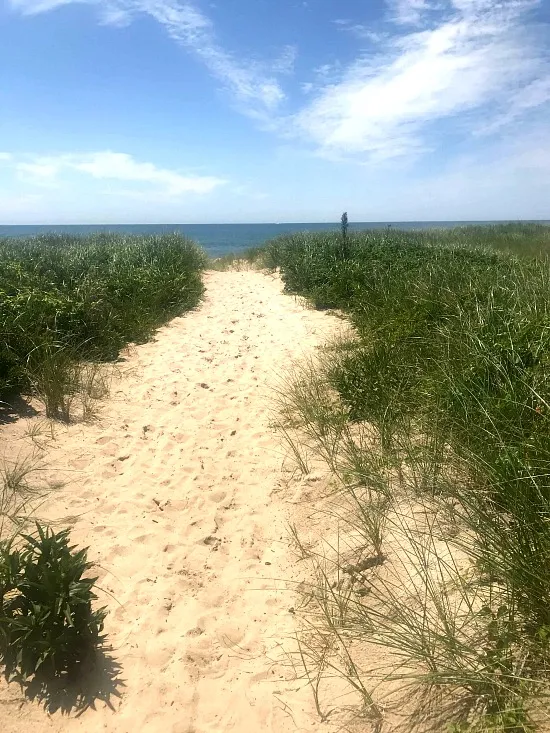 Beach path down to the water