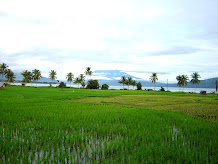 SaningBakar Dalam Foto