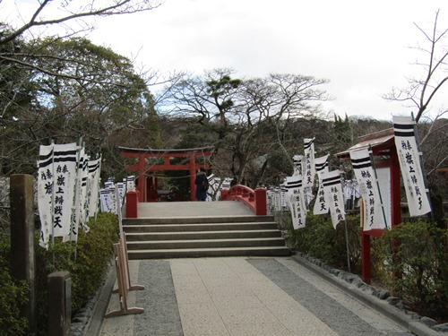 Shansquare Blog 雞年新春遊日本day15 神奈川縣鎌倉市鶴岡八幡宮