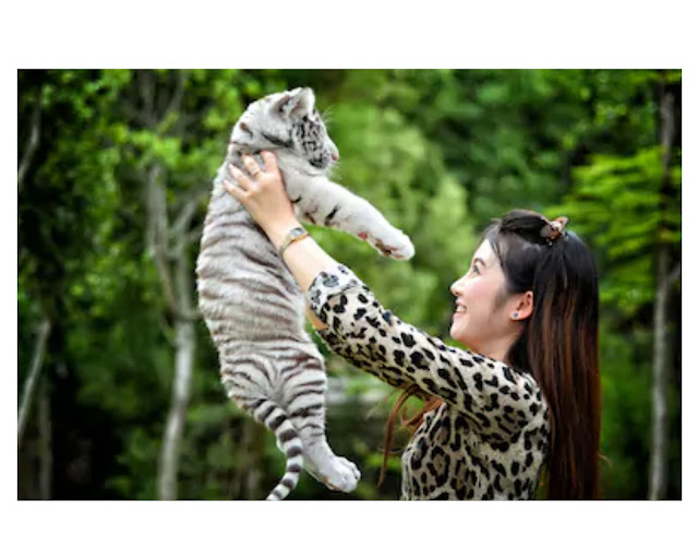 About Wildlife Biology