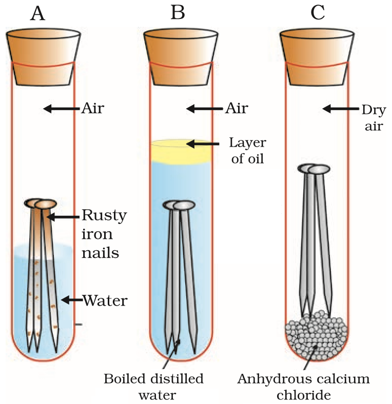 3. Metals and Nonmetals Class 10 CBSE  Notes Part 5 Corrosion