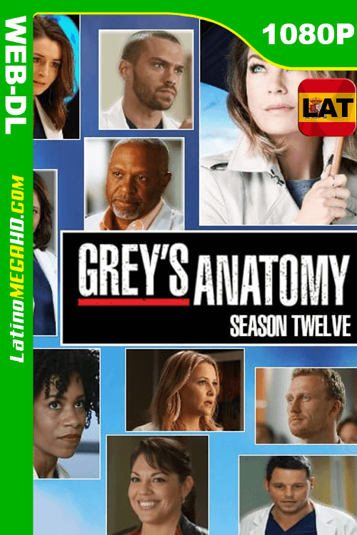 Anatomía según Grey (2013) Temporada 12 Latino HD WEB-DL 1080P (2005)