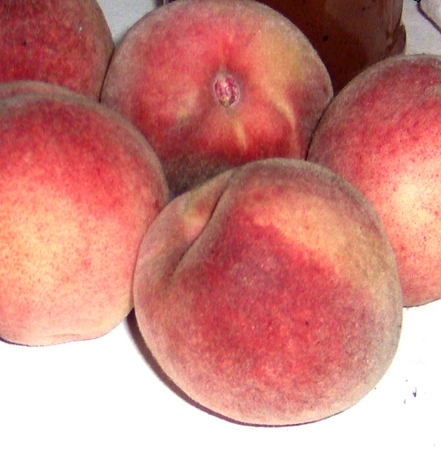 auchwas: Weiß-Pfirsich-Zeit: Weiß-Pfirsich-Eis auchwas: Weiß-Pfirsich-Zeit: Weiß-Pfirsich-Eis