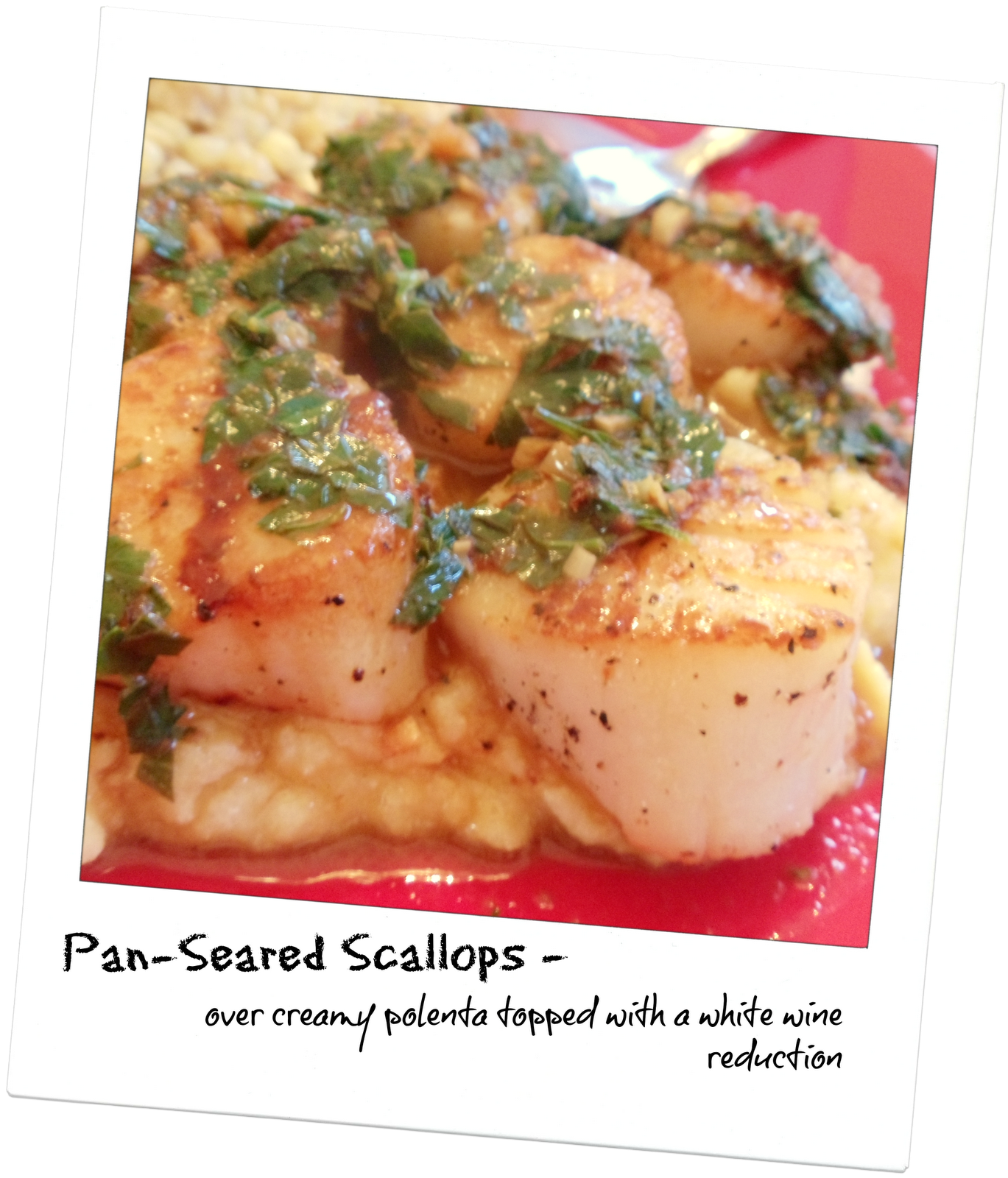 "I enjoy food more than the average person" PanSeared Scallops