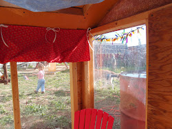 coop playhouse chicken into treatments window
