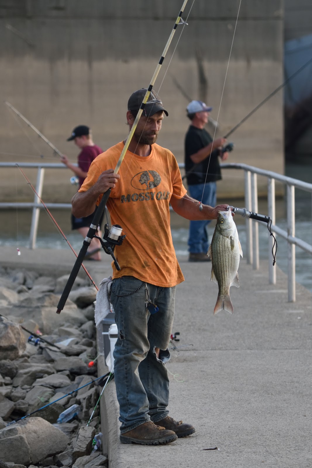 Ohio River Blog Fishing at the Greenup Locks and Dam