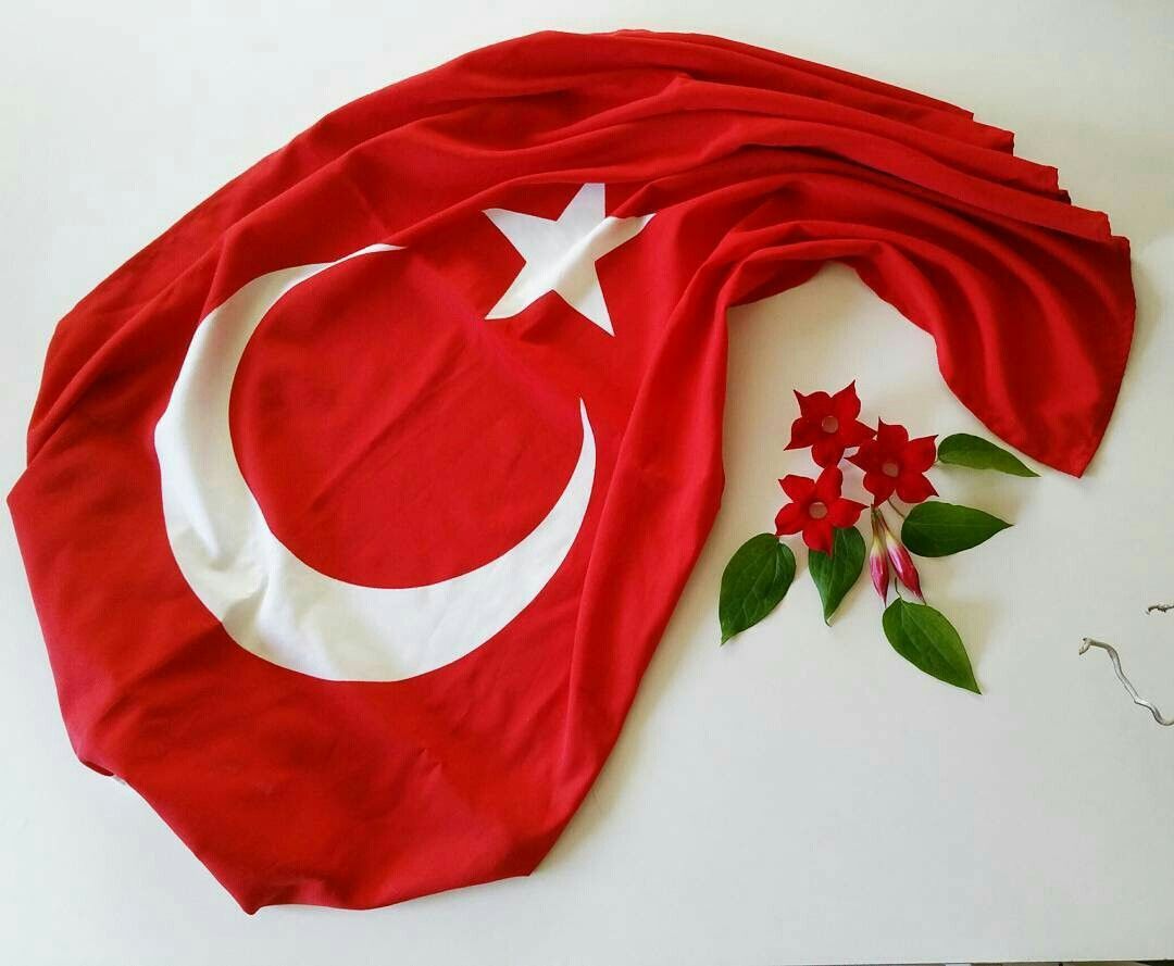 sade turk bayraklari 8